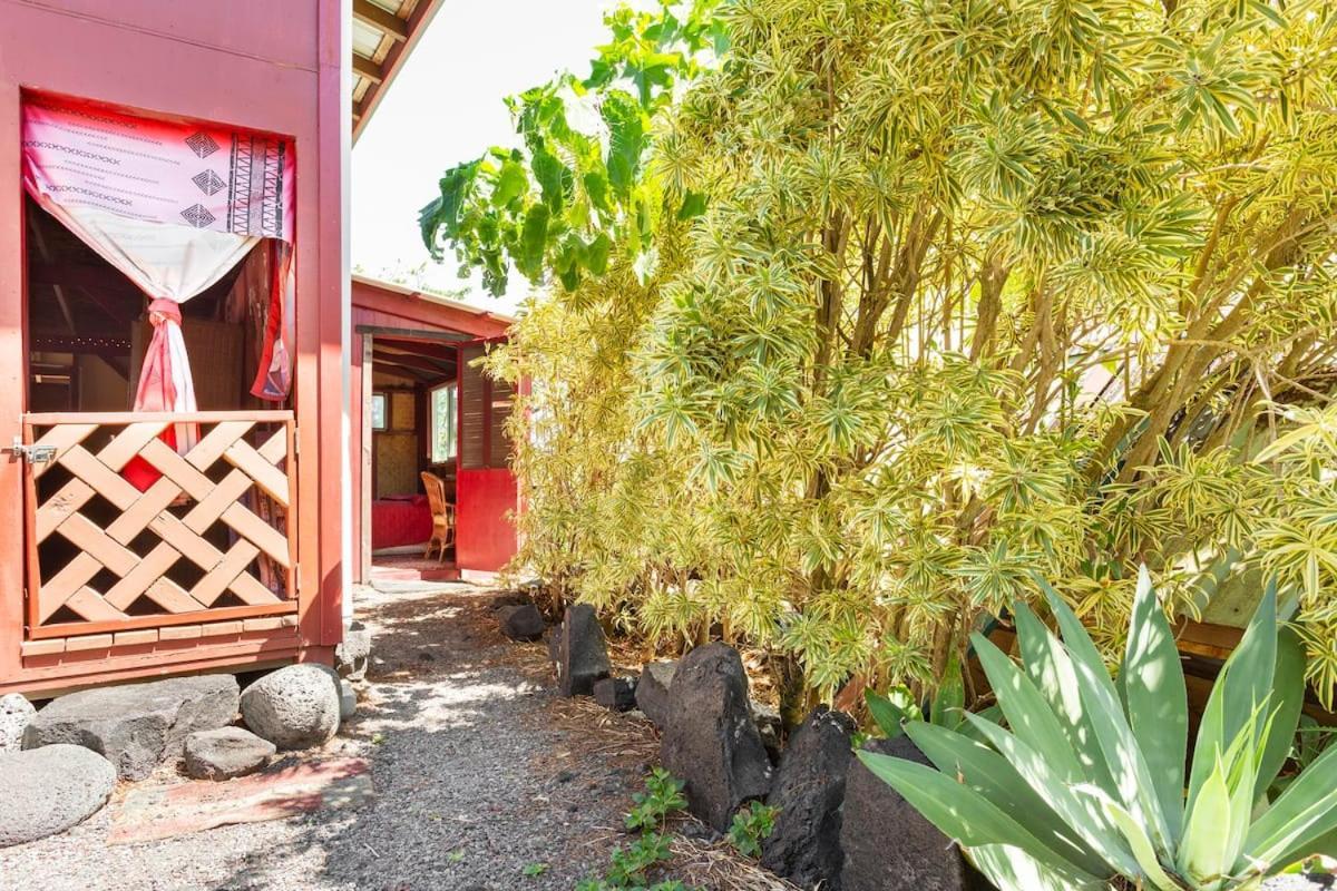 The Magical Lava Temple With Epic Volcano Views! Kehena エクステリア 写真