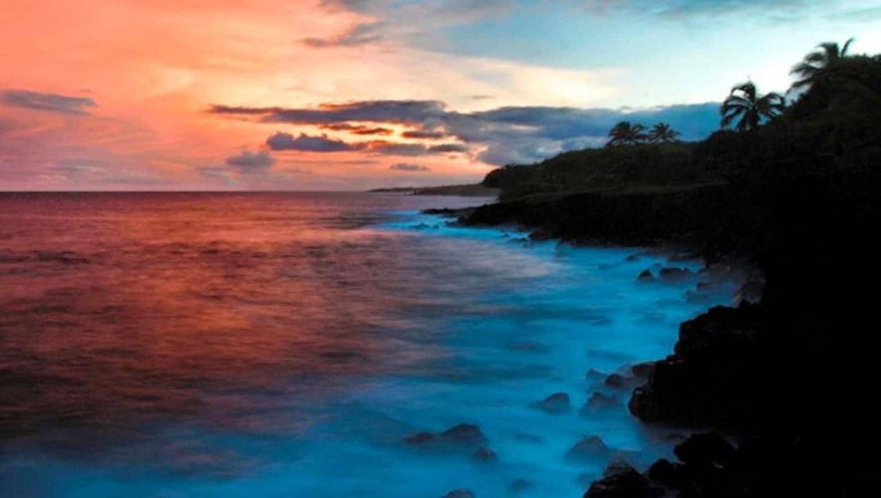 The Magical Lava Temple With Epic Volcano Views! Kehena エクステリア 写真
